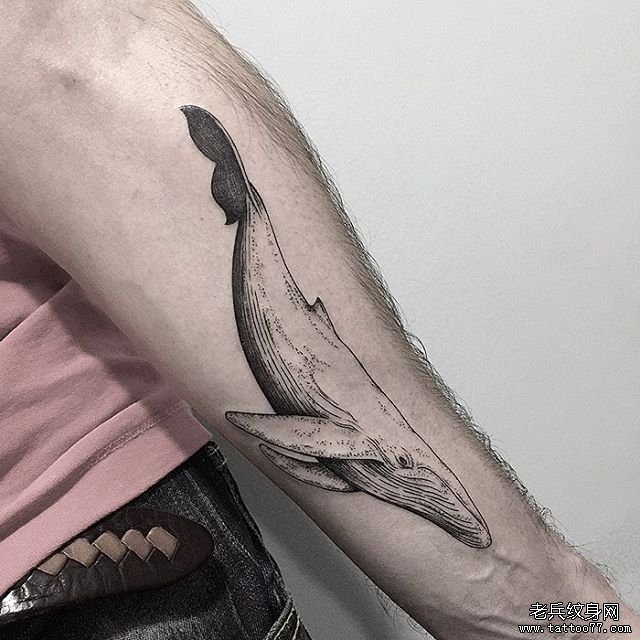 男士小臂鲸鱼纹身tattoo图案