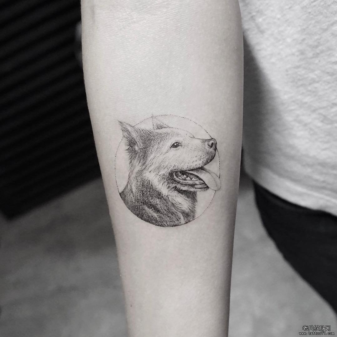 小臂写实狗狗tattoo纹身图案