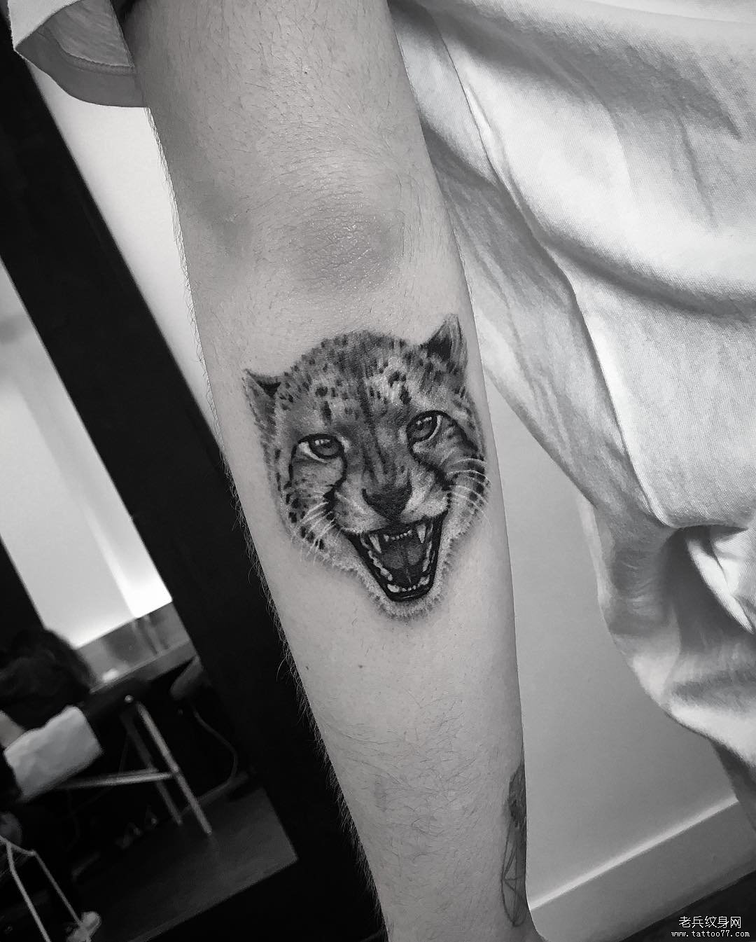 小臂豹子头个性的纹身图案