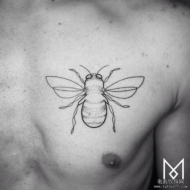 胸部点刺蜜蜂线条极简线条纹身图案