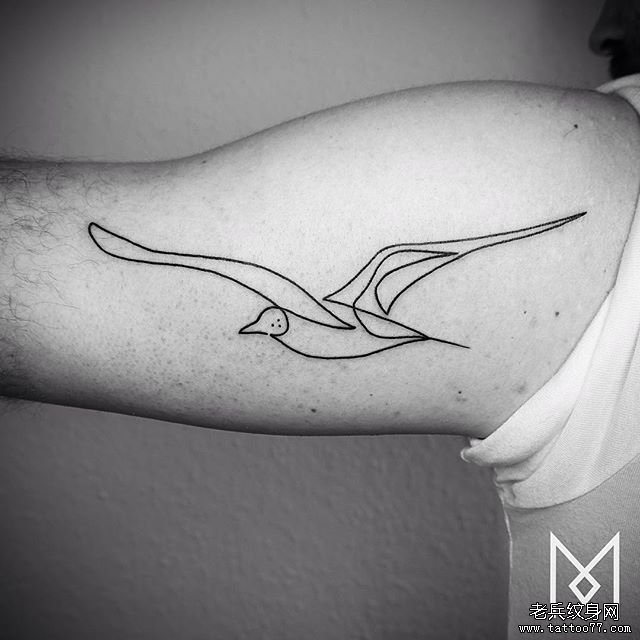 大臂极简黑色线条海鸥纹身tattoo图案