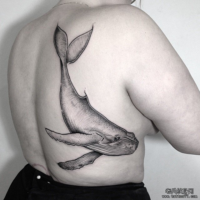 女性背部欧美鲸鱼纹身tattoo图案