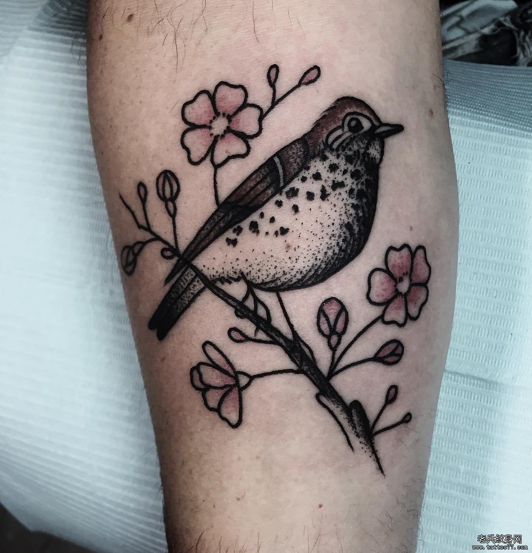 小清新鸟植物纹身tattoo图案