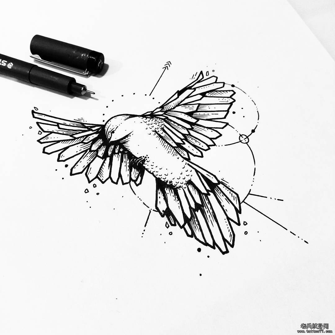鸟黑白线条纹身手稿
