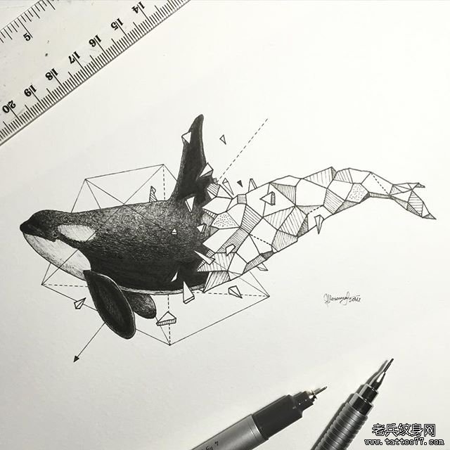 鲸鱼几何线条个性纹身图案手稿