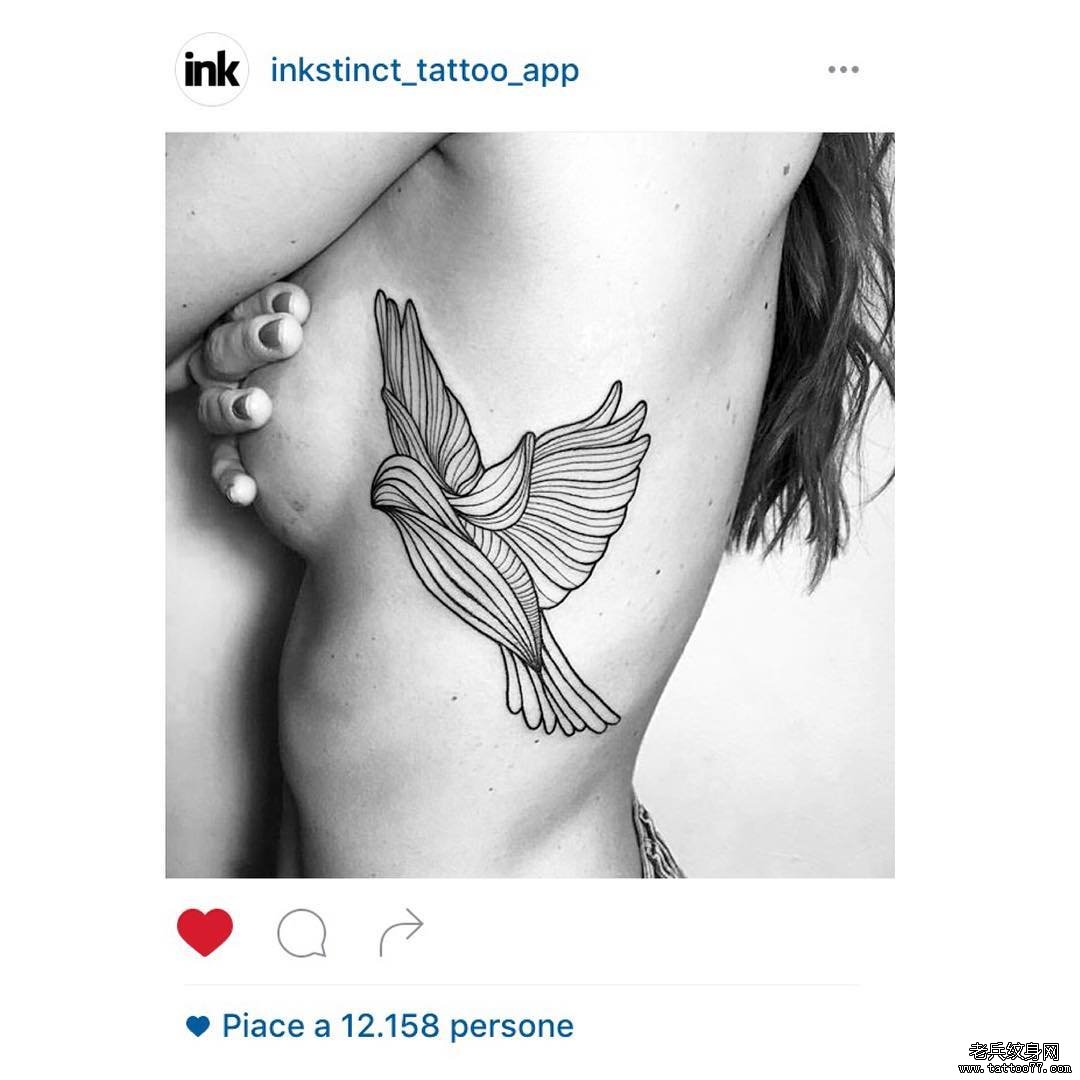 女生侧胸线条燕子纹身图案