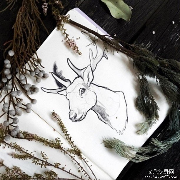 小清新麋鹿头像纹身图案手稿