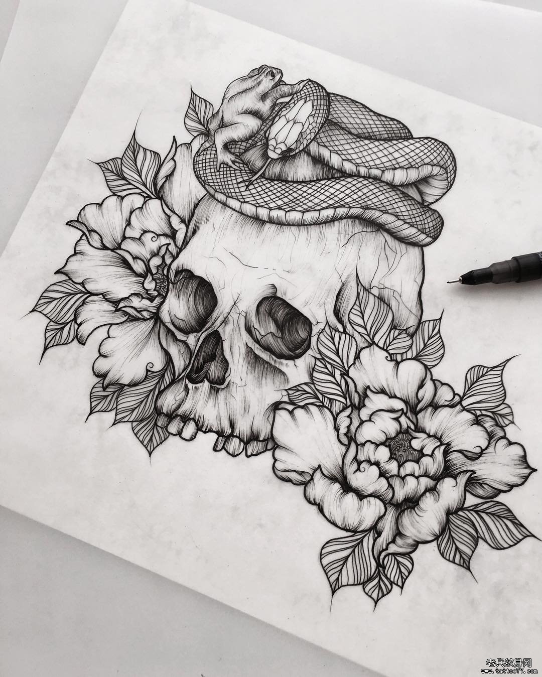 school骷髅蛇牡丹青蛙纹身图案手稿