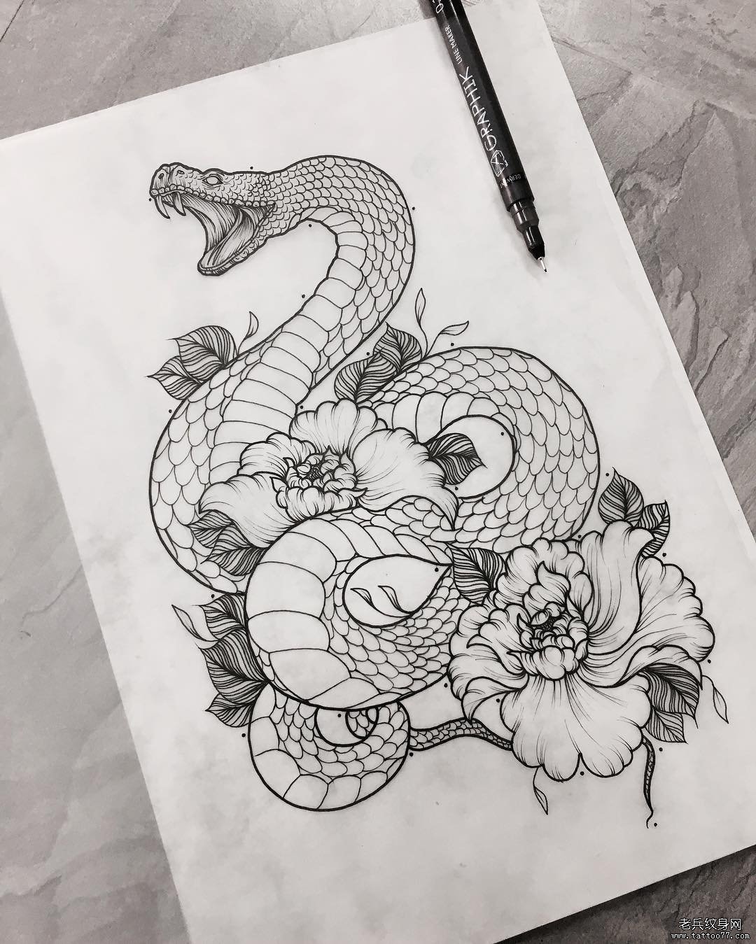 个性的牡丹花蛇纹身图案手稿