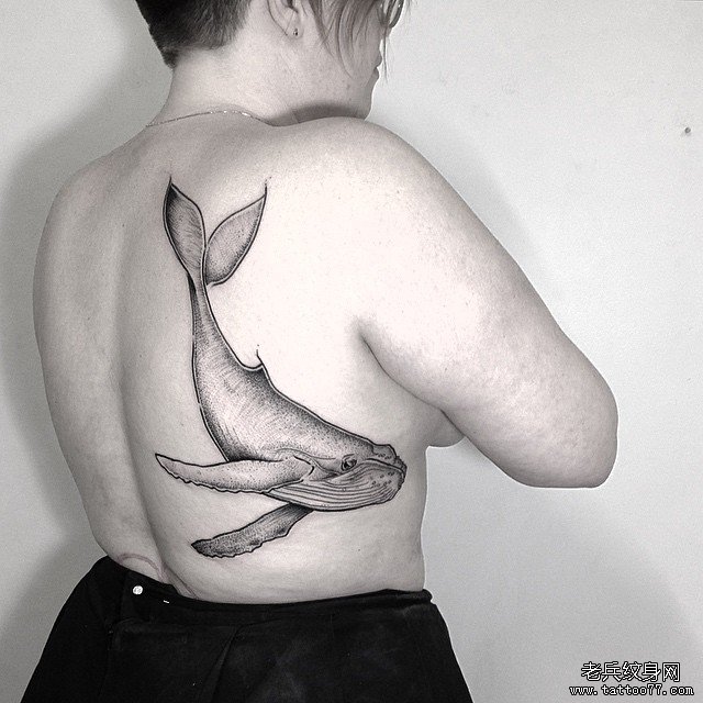女性背部点刺鲸鱼tattoo纹身图案