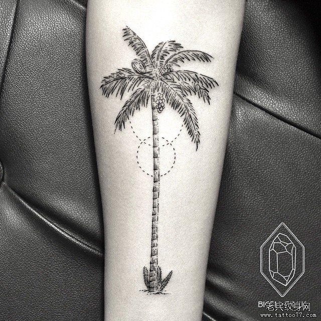 小臂点刺线条椰树tattoo纹身图案