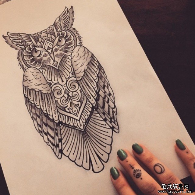 欧美school猫头鹰个性纹身图案手稿