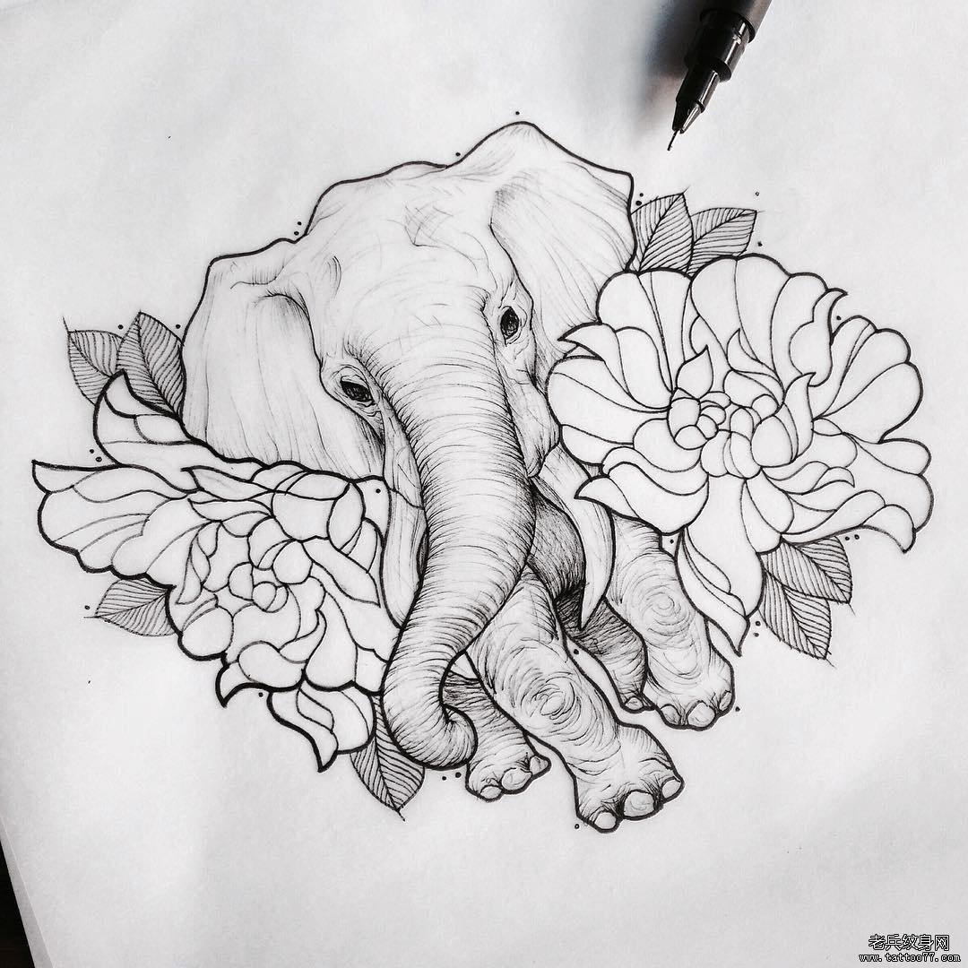 欧美school花卉大象线条纹身图案手稿