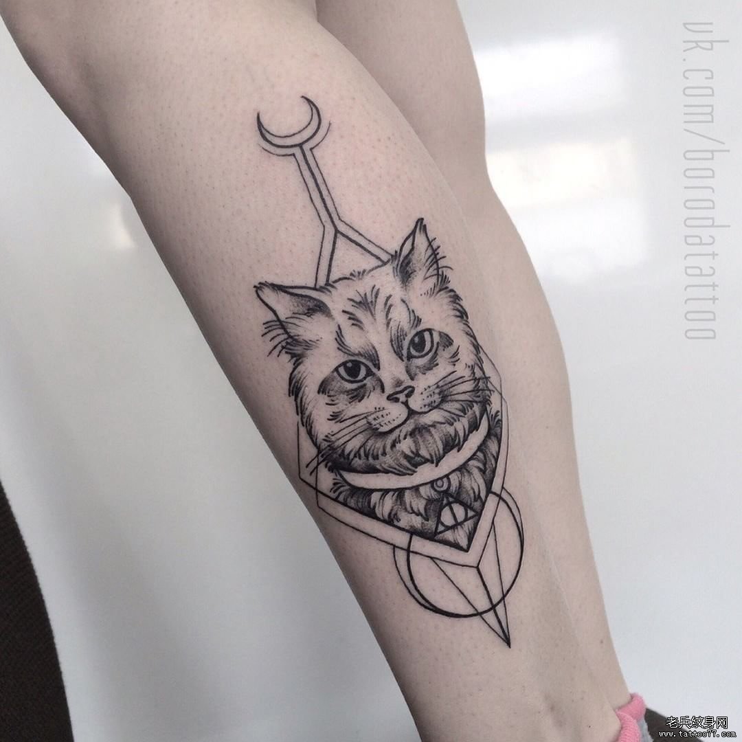 小腿猫咪几何小清新纹身图案
