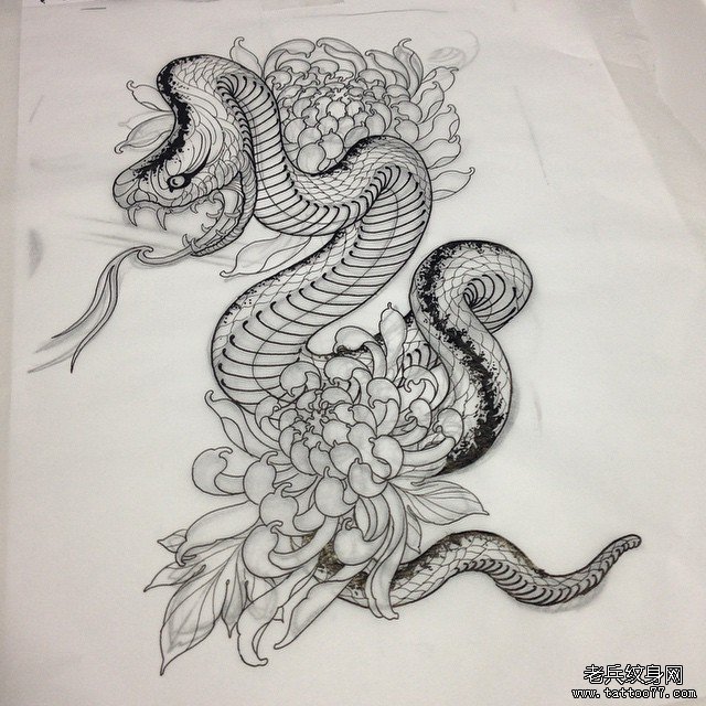 school蛇菊花霸气纹身图案手稿