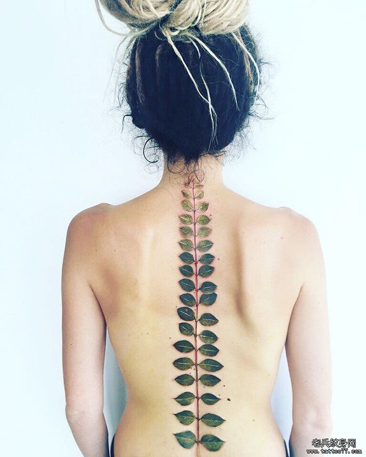 女生背部脊柱树叶纹身图案