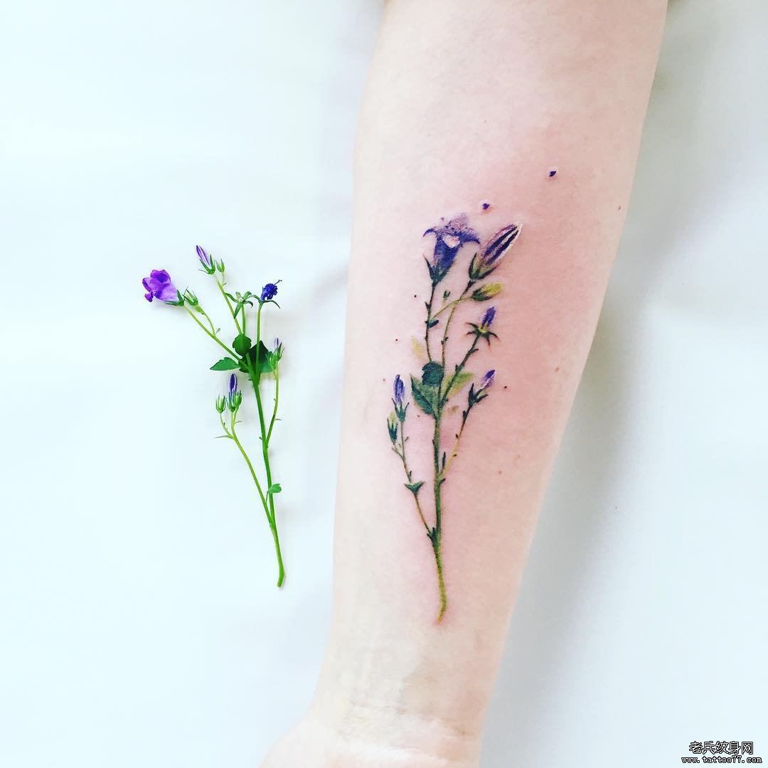 小臂彩色小清新植物花卉纹身图案