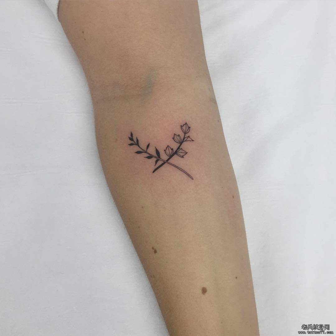 小臂小清新简单花卉植物纹身图案