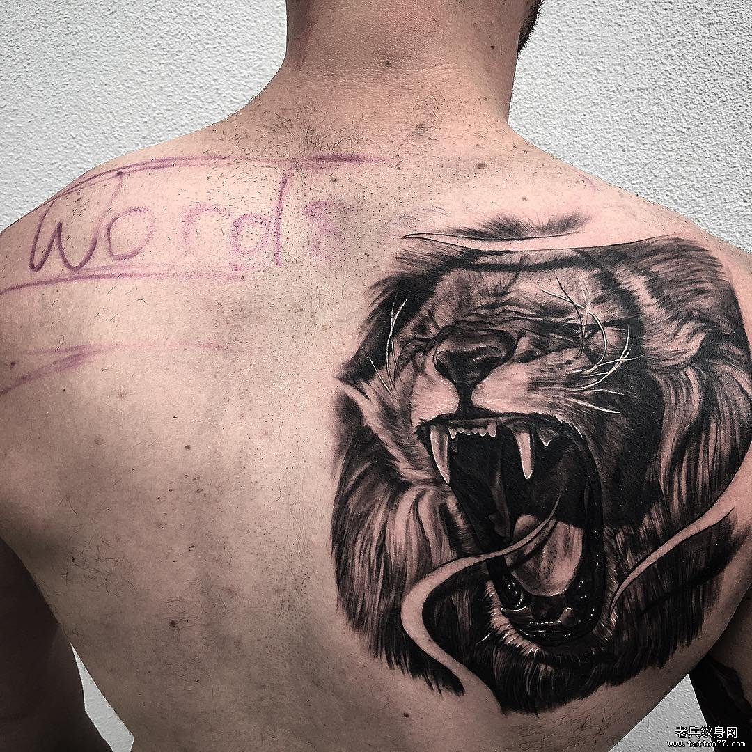背部欧美写实狮子头像纹身图案