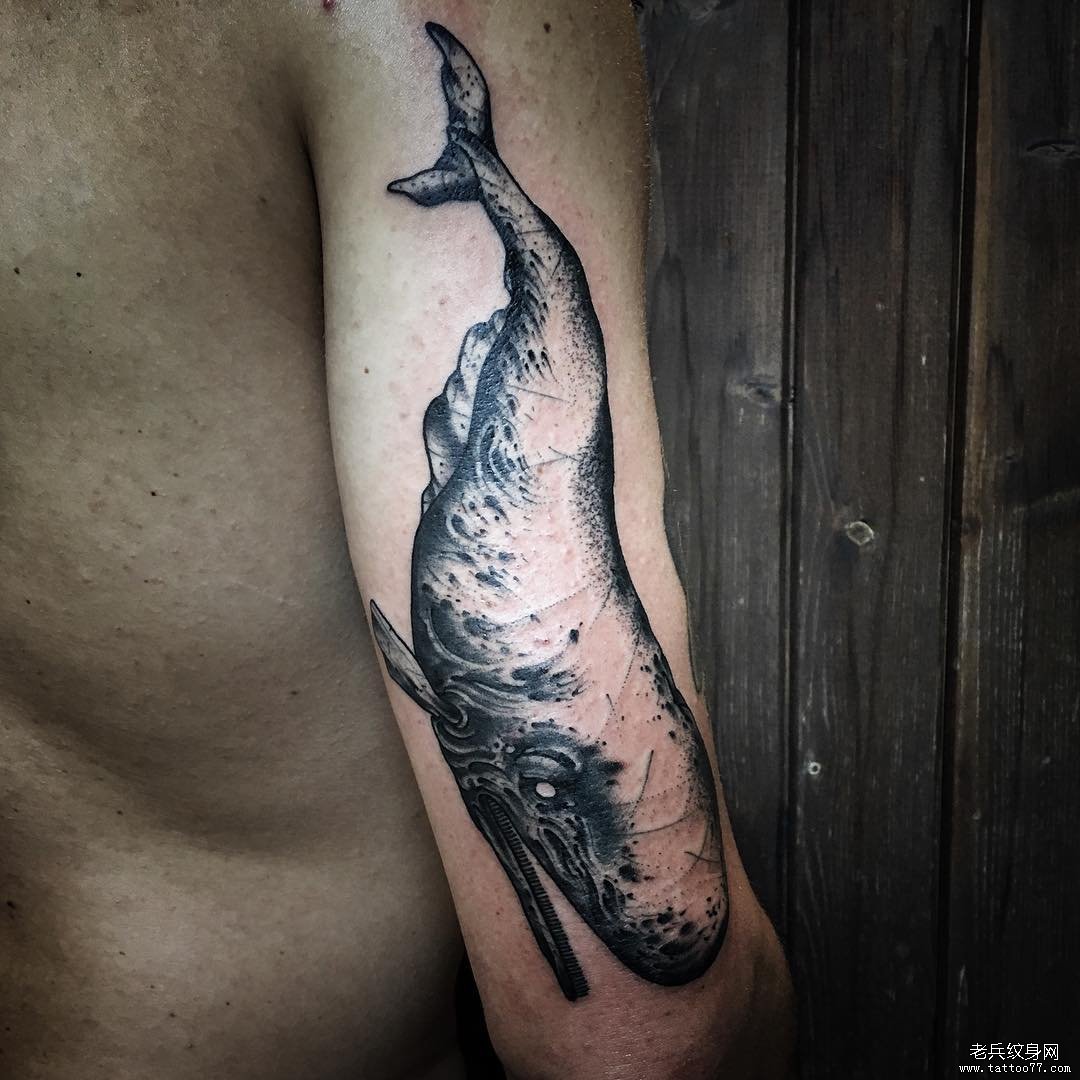 大臂欧美个性的鲸鱼纹身图案