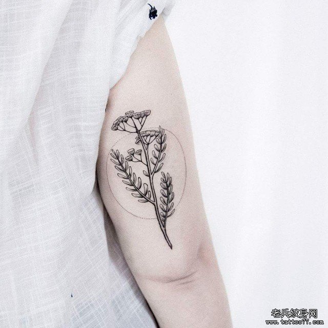 大臂花卉简约小清新纹身图案