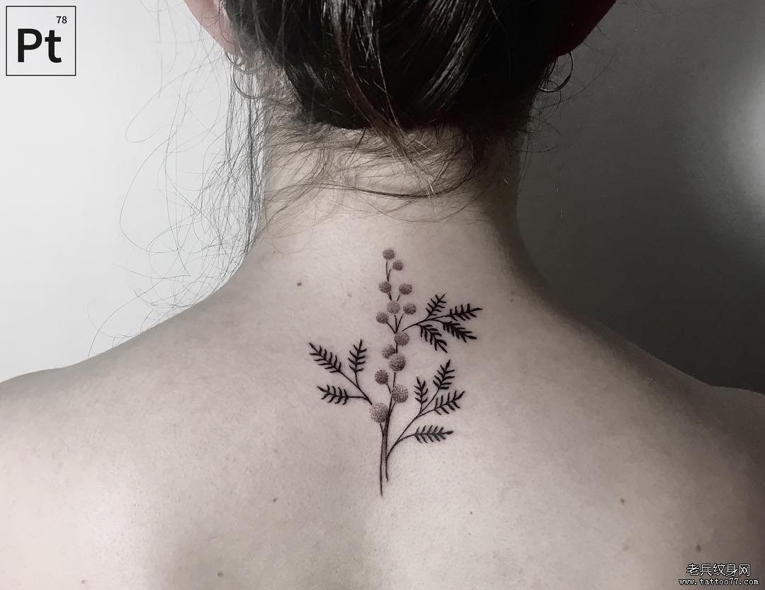 女生背部小清新植物纹身图案