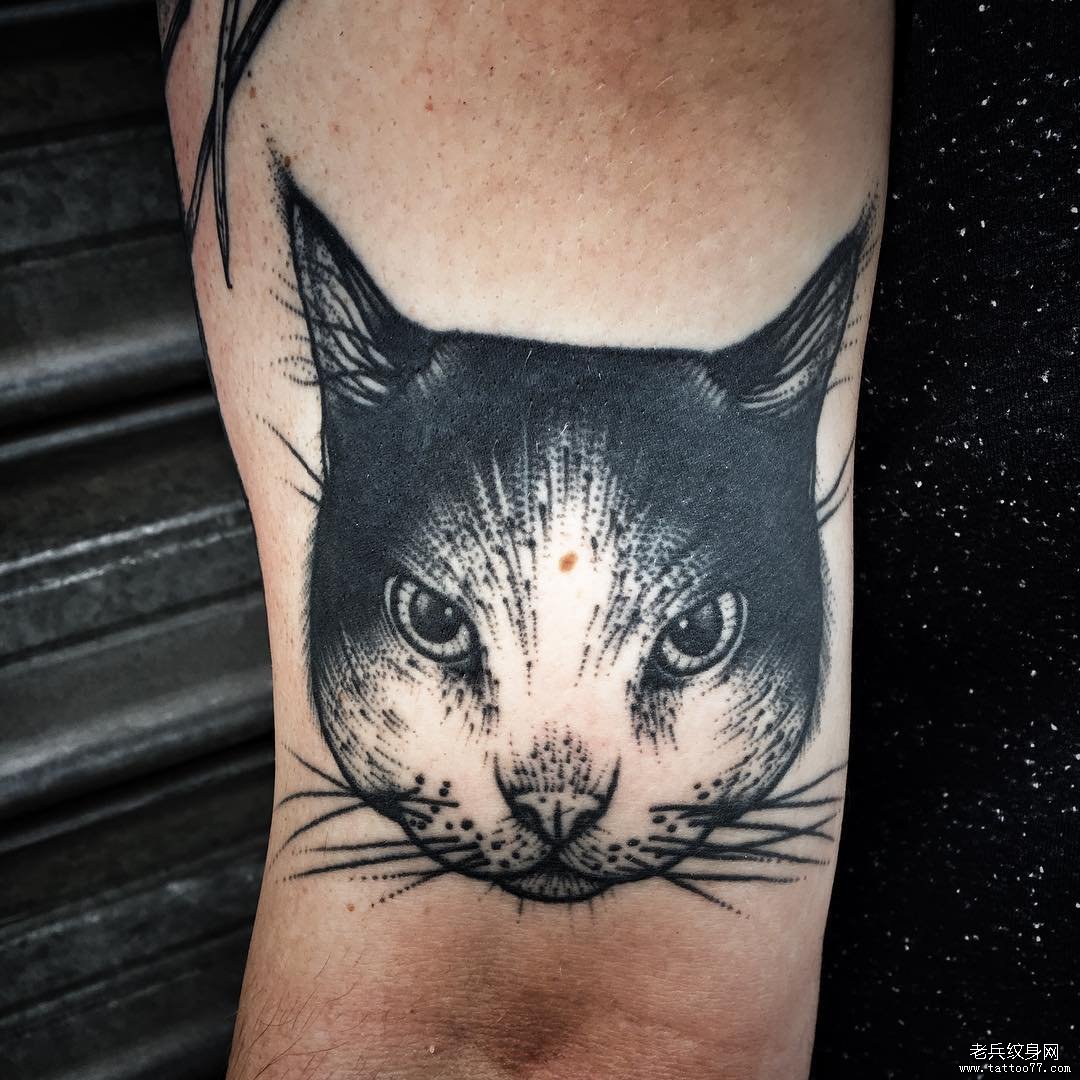 大臂欧美个性猫头部纹身图案