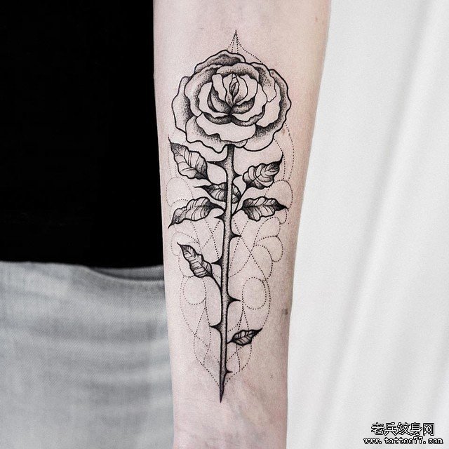 小臂欧美玫瑰点刺纹身图案