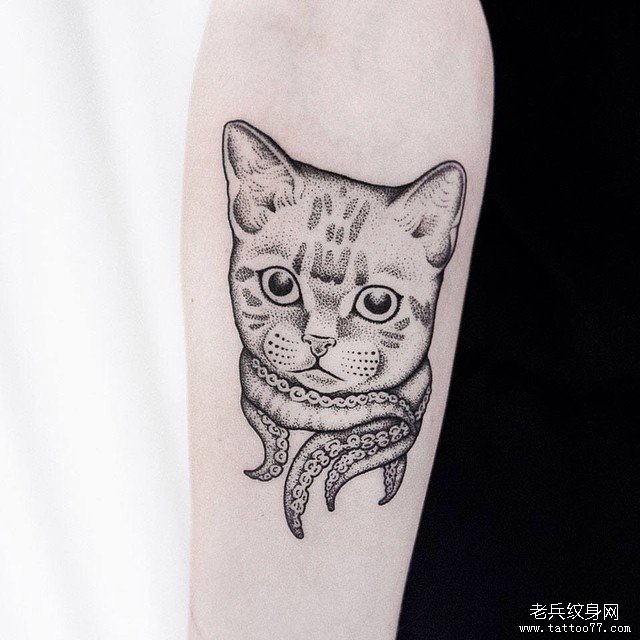 小臂欧美点刺猫纹身图案