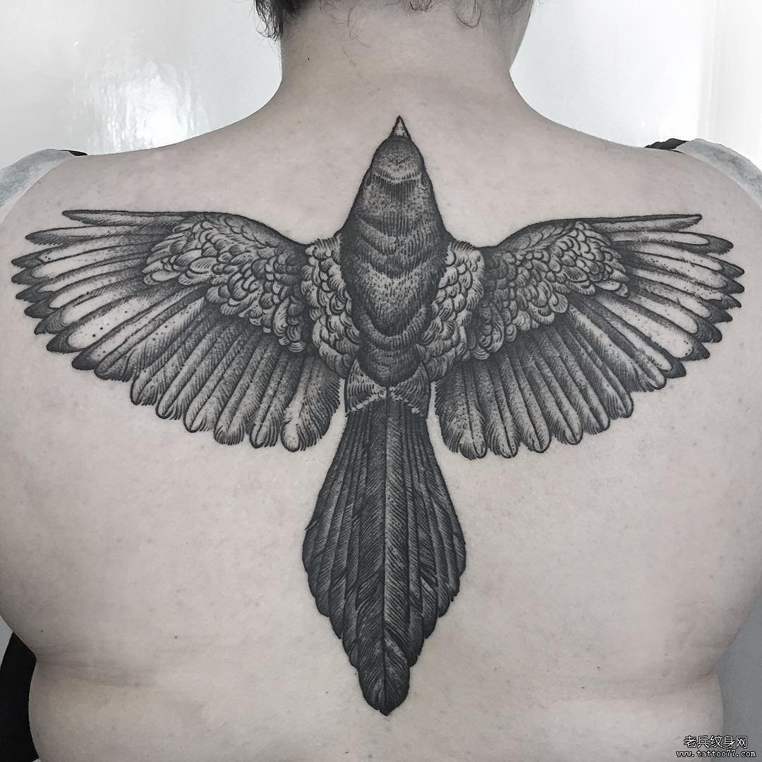 背部乌鸦欧美点刺纹身图案