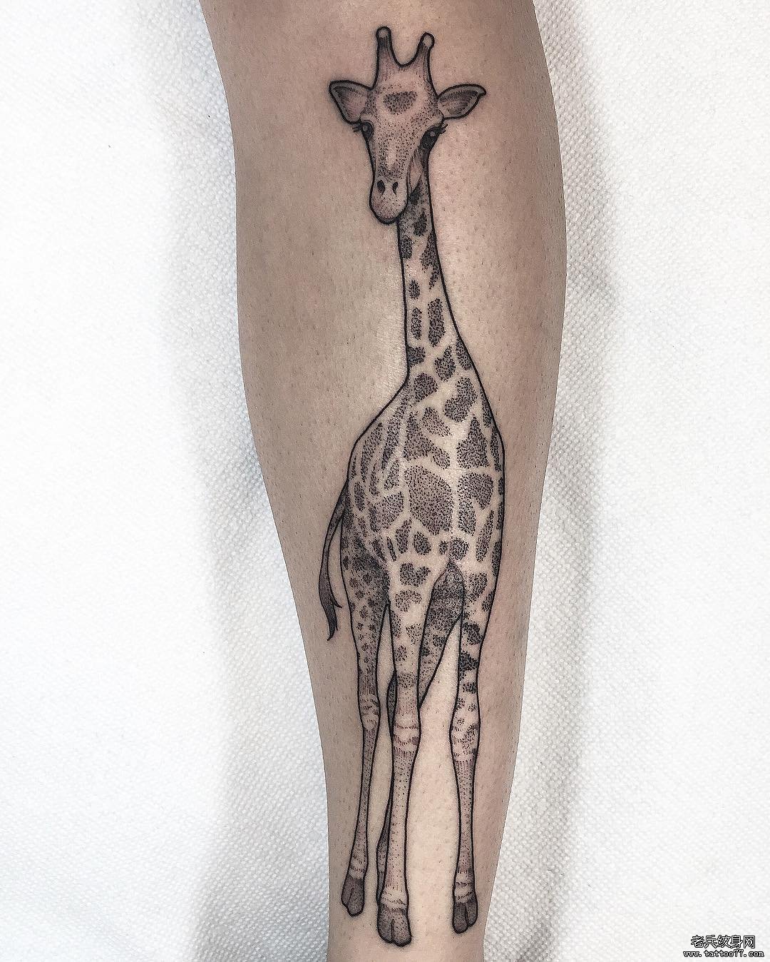 小腿长颈鹿点刺纹身图案