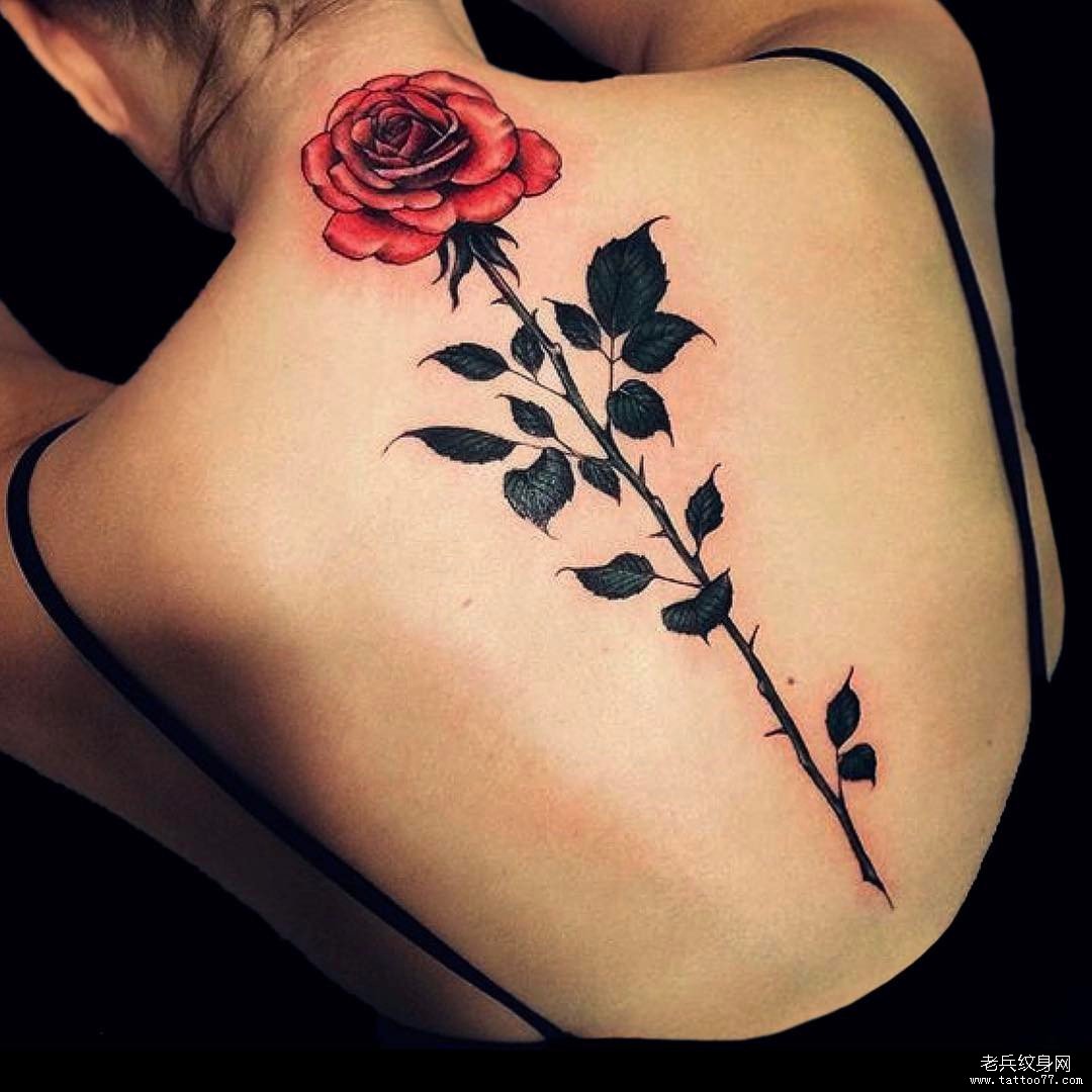 背部脊柱欧美玫瑰彩绘纹身图案