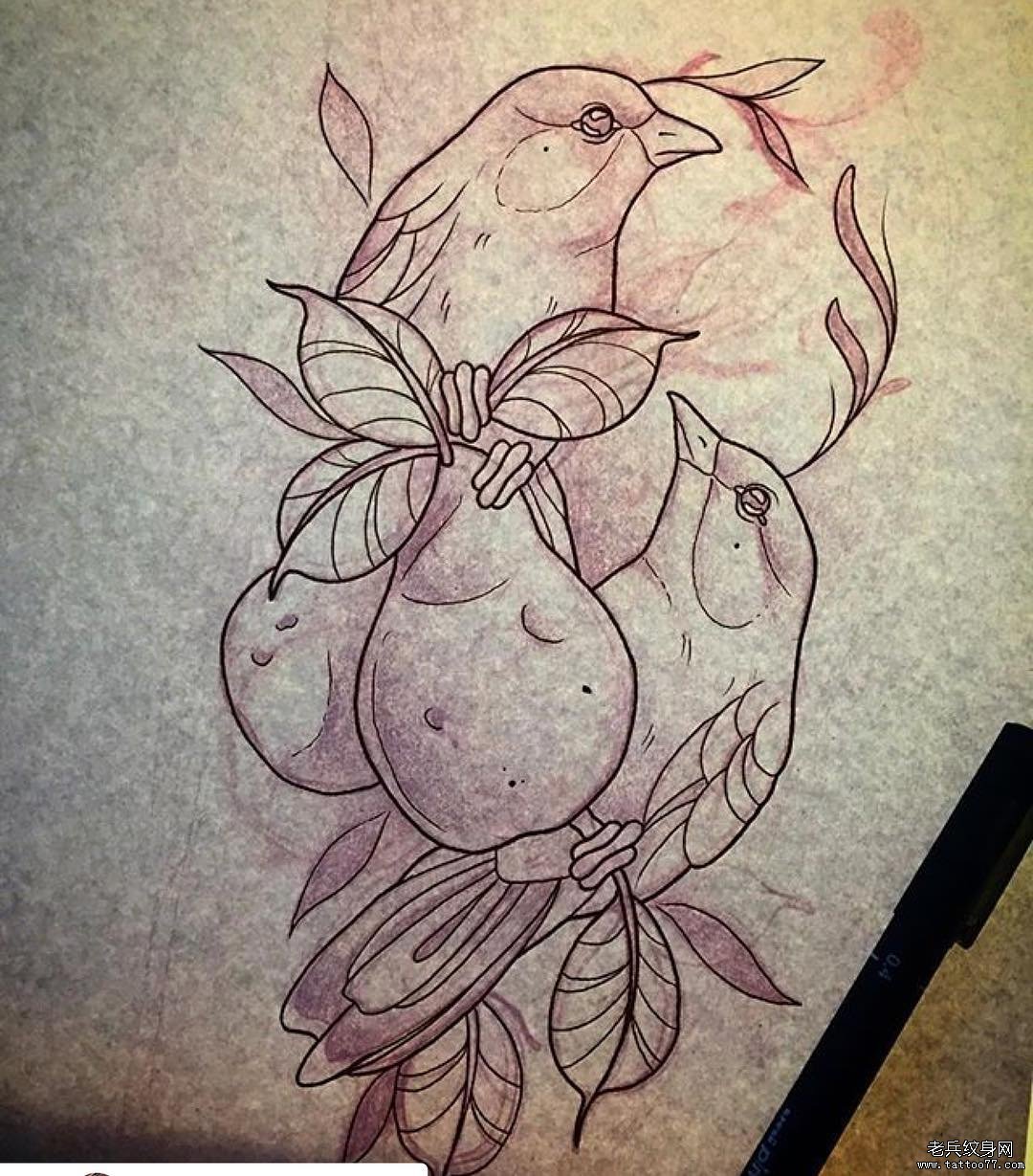 欧美小鸟水果梨纹身图案手稿
