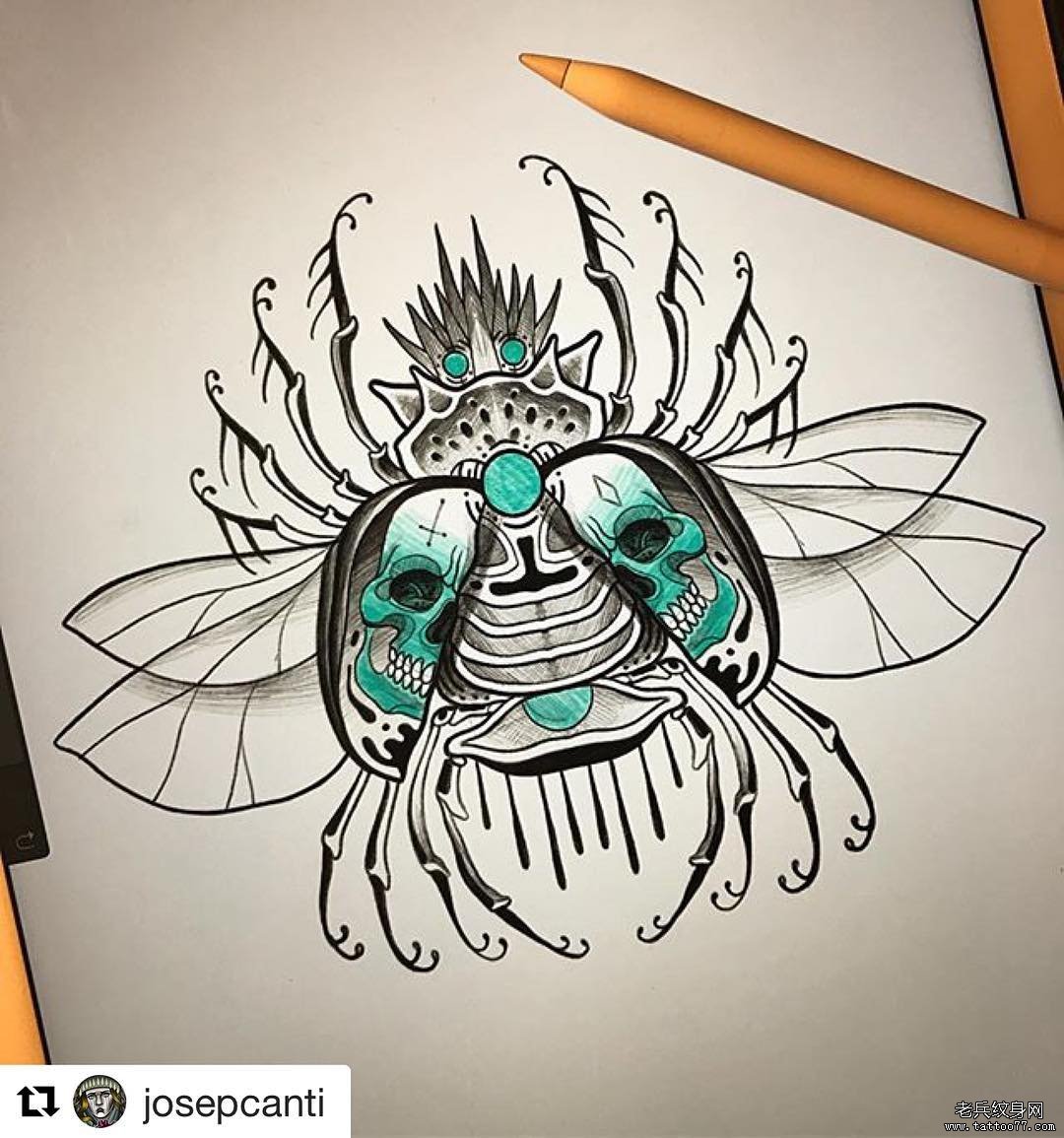 欧美school昆虫骷髅纹身图案手稿