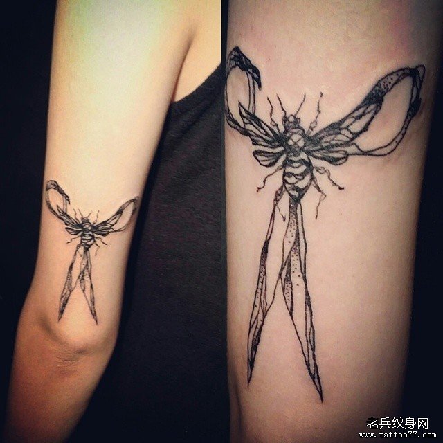 大臂昆虫线条点刺纹身图案