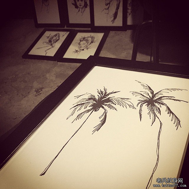 欧美线条椰树纹身图案手稿