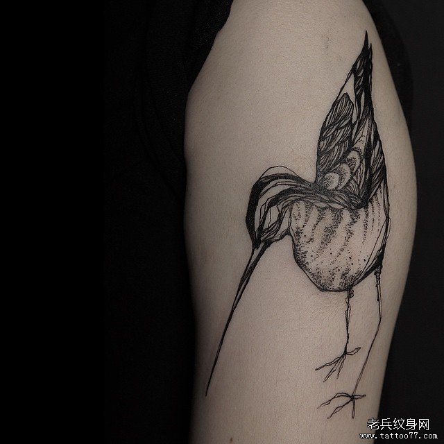 大臂蜂鸟线条泼墨纹身图案