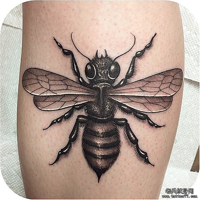 小腿欧美school精致的蜜蜂纹身图案