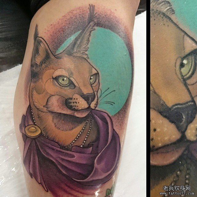 大臂欧美野猫纹身图案