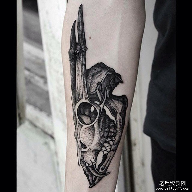 小臂黑灰骷髅鹿头纹身图案
