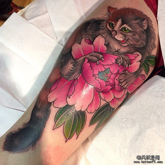 大腿猫咪传统牡丹花欧美纹身图案