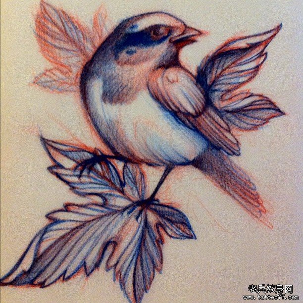欧美school鸟树叶小清新纹身图案手稿
