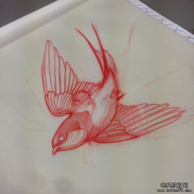 欧美school小鸟纹身图案手稿