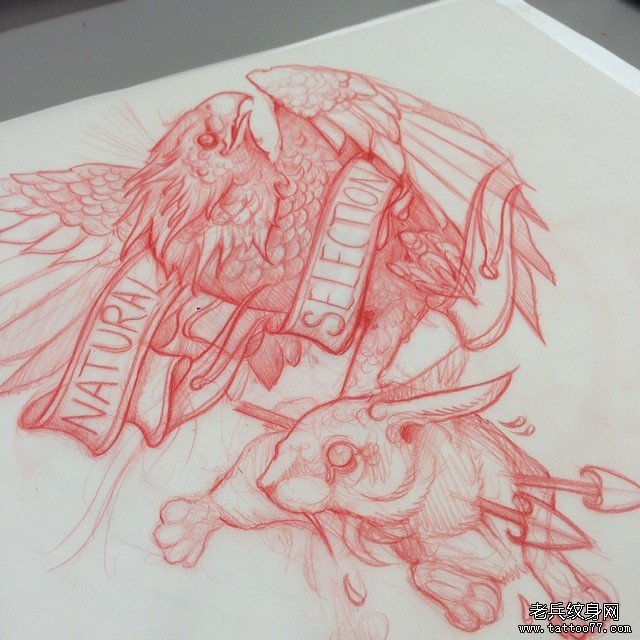 欧美school老鹰兔子图案纹身图案手稿