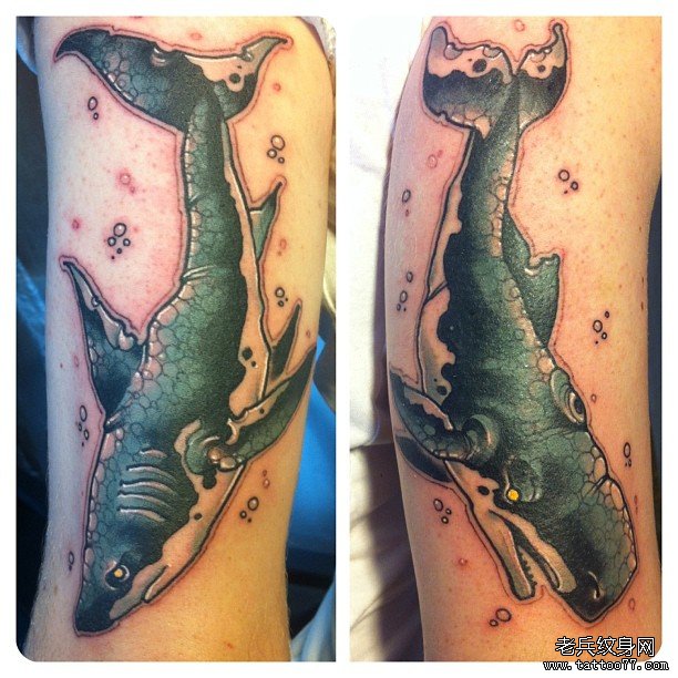 大臂鲨鱼和鲸鱼school纹身图案