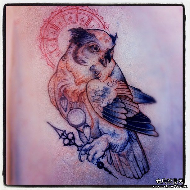 猫头鹰与梵花纹身图案手稿
