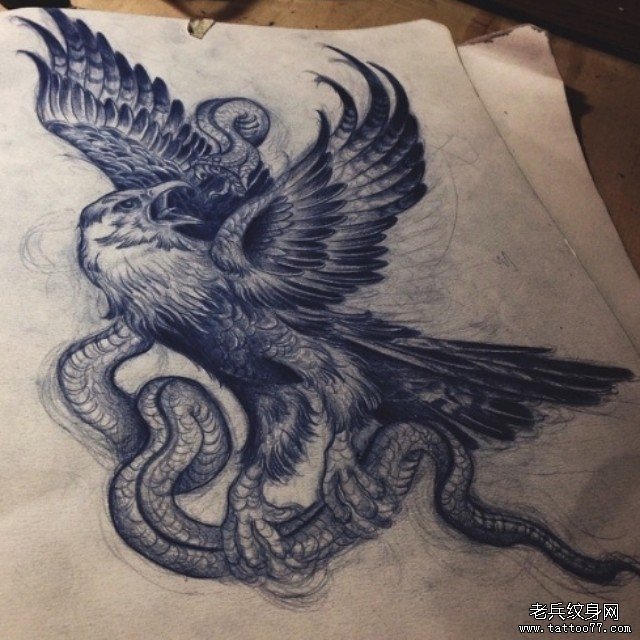 欧美老鹰蛇纹身图案手稿