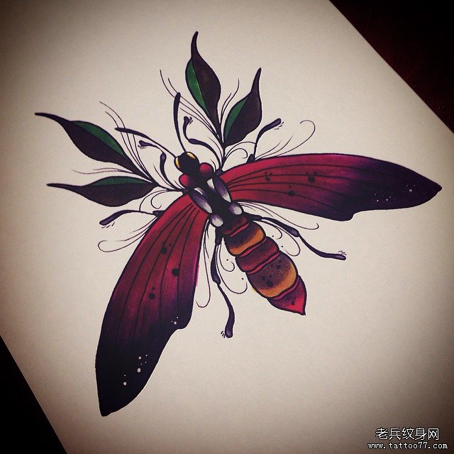 欧美昆虫纹身图案手稿