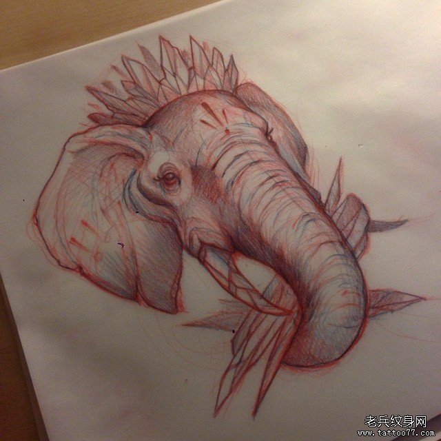 欧美大象头像纹身图案手稿
