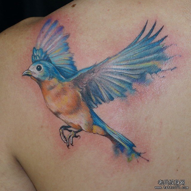 背部彩色school小鸟纹身图案